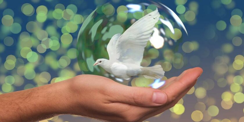 INCONTRO SULLA PACE. “VERSO UNA PACE DISARMATA E DISARMANTE”